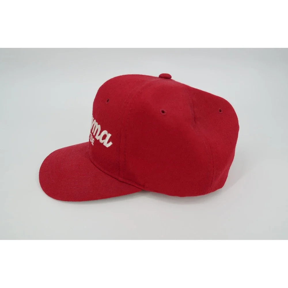 Vintage‎ Sports Specialties Alabama Crimson Tide Mens Wool Hat Script Snapback